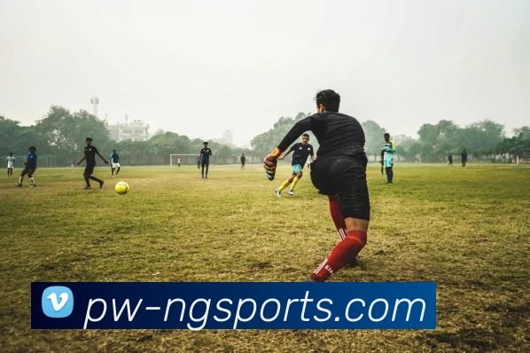 NG体育平台生态图